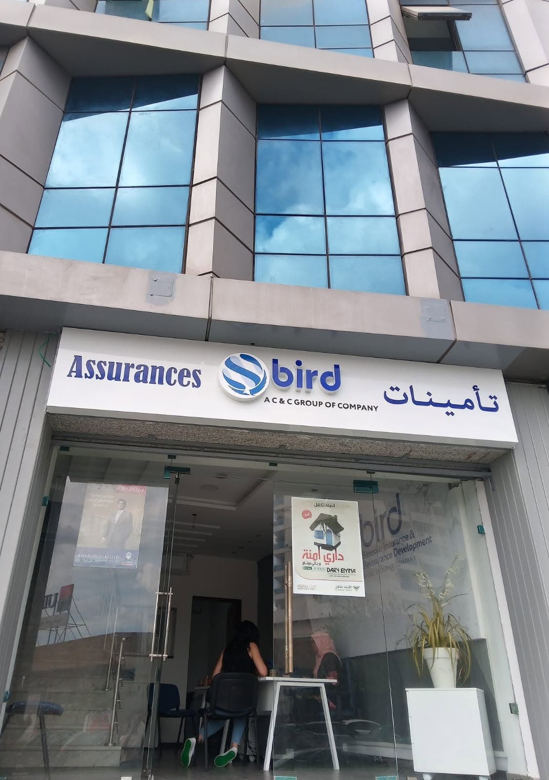 Assurance Bird photography placeholder